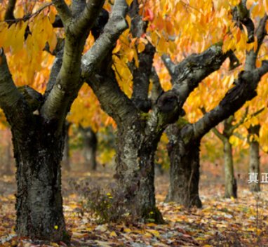 为什么你需要一个个人成长计划？制定个人成长计划的5个步骤