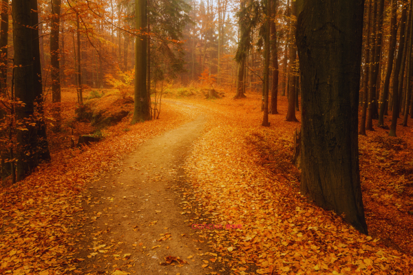 北大才女Effie：我辞掉新加坡的“神仙工作”，用教练攀登人生的“第二座山”